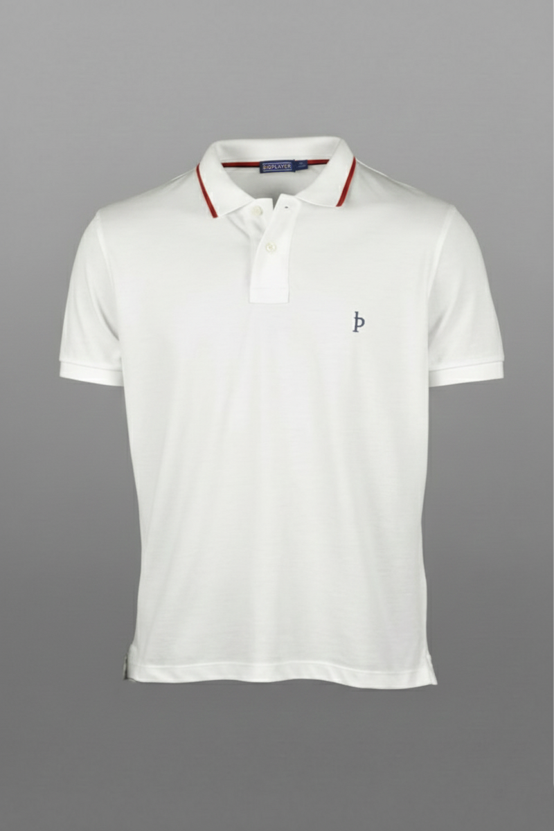Casual Fit Polo 